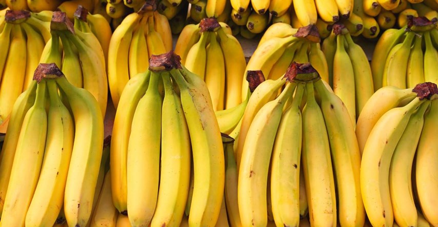 Trebamo li biti zabrinuti za banane? Napada ih opasna bolest